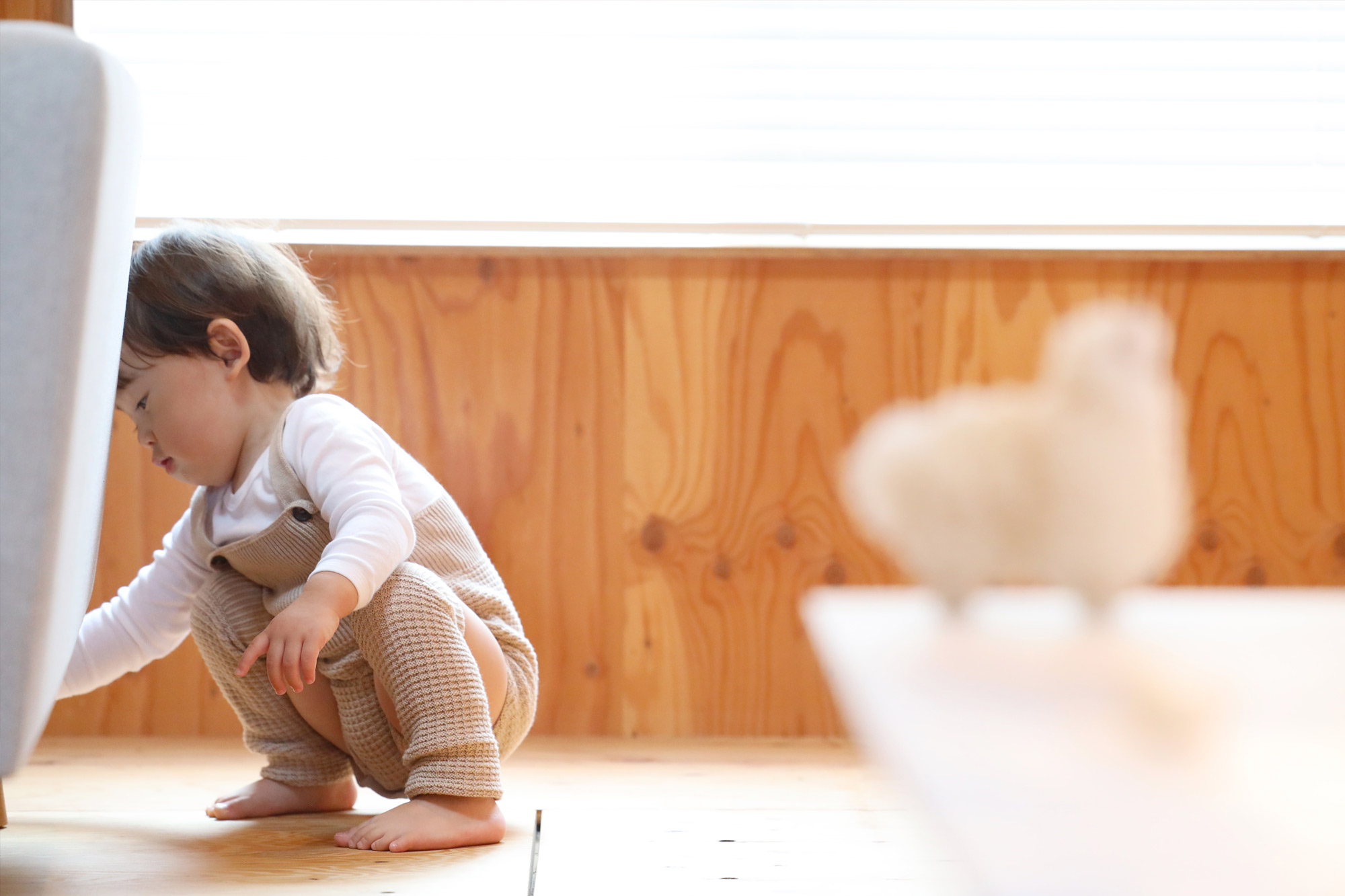 赤ちゃんの写真